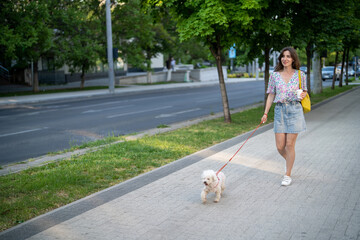 Smiling young brunette in casual outfit holding takeaway coffee while walking with leashed Bichon...