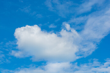 Naklejka na ściany i meble A lone cumulus cloud in the blue sky that looks like a frog