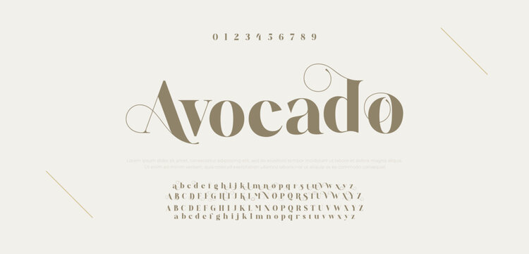 Elegant alphabet letters font and number. Typography luxury classic lettering serif fonts decorative for logo wedding vintage retro concept. vector illustration.
