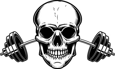 Skull with crossed gym barbells. Gym consept. Design element for logo, label, sign, poster.