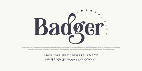 Luxury alphabet letters font. Typography elegant wedding classic lettering serif fonts decorative vintage retro concept. vector illustration.