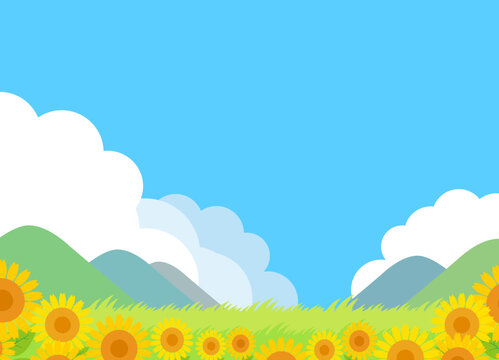 ひまわり畑と青空と入道雲　夏の風景のイメージ