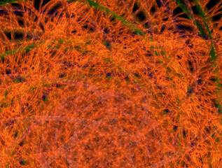 Imaginatory fractal abstract background Image