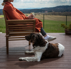 The setter dog sitting next to his owner on the outdoor