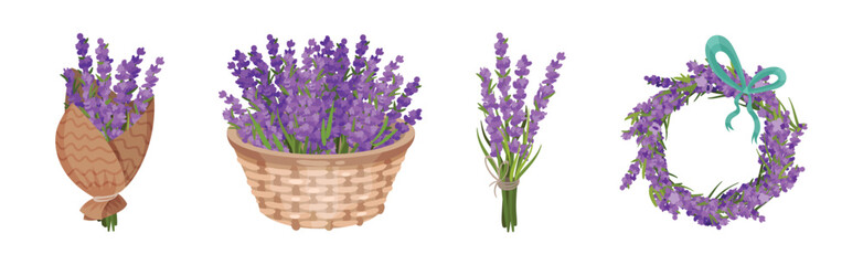 Bunch of Violet Lavender Twigs Wrapped, in Wreath and Basket Vector Set