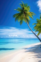 Plakat palm trees on a beach