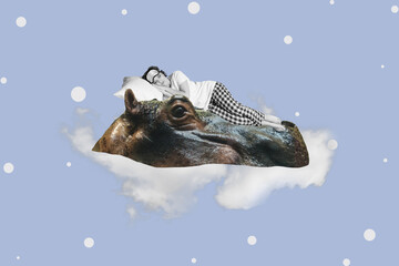 Picture collage poster artwork of cute girl lying hippo face enjoy sweet dreams sleep sky heaven...