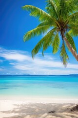 Fototapeta na wymiar a palm tree on a beach