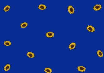 Pattern with sunflowers on blue background