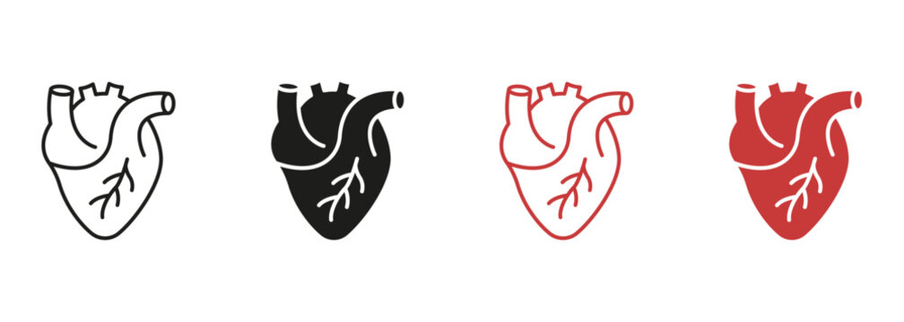 Human Heart, Cardiac Muscle Line and Silhouette Color Icon Set. Medical Cardiology Pictogram. Healthy Cardiovascular Organ Symbol Collection on White Background. Isolated Vector Illustration