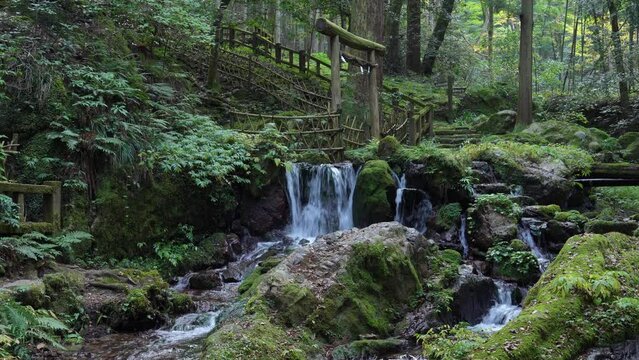 静寂に包まれた瓜割の滝の情景