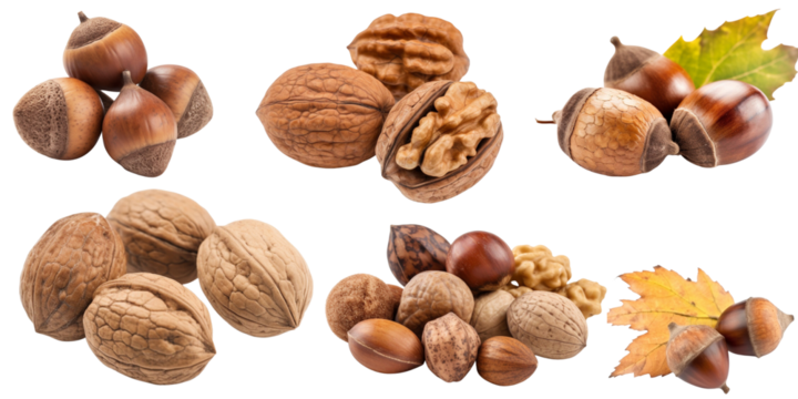 Set isolated on a transparent background of autumn plants and fruits. Generative AI.