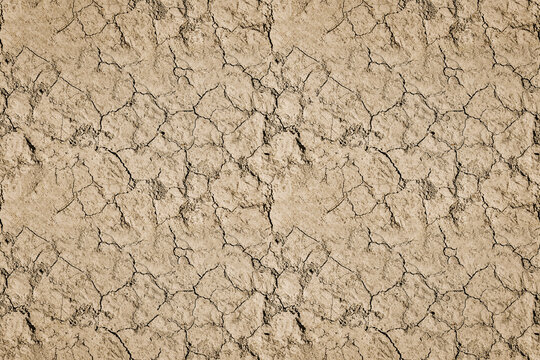 Dry land seamless texture with cracked pattern. Clay, sandy dry land is cracked from drought. Background of dry ground with cracked texture