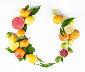 Citrus fruits isolated on white background