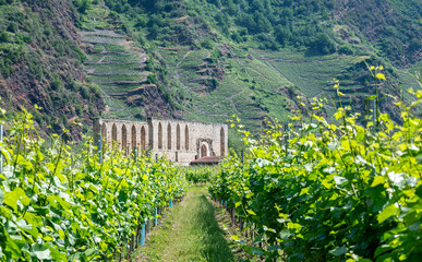 the former Stuben Monastery with its impressive church ruins
