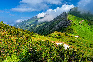 Obraz premium Summer landscape of the Belianske Tatras. Tatra National Park, Slovakia. The Mount Havran and Zdiarska Vidla.