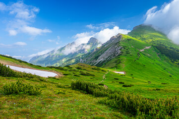 Fototapeta na wymiar Summer landscape of the Belianske Tatras. Tatra National Park, Slovakia. The Mount Havran and Zdiarska Vidla.