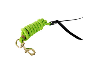 lunge rein in studio