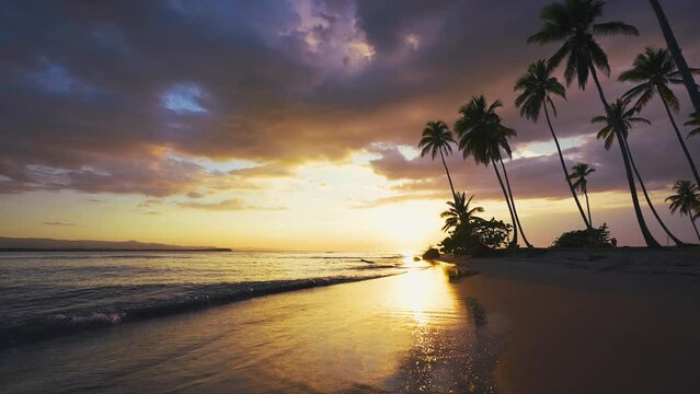 Tropical panoramic sunset on palm paradise beach. Calm summer vacation or festive landscape. Sea sunset on the coast with palm trees. Calm waves on the sand. Exotic nature view. Inspirational seascape