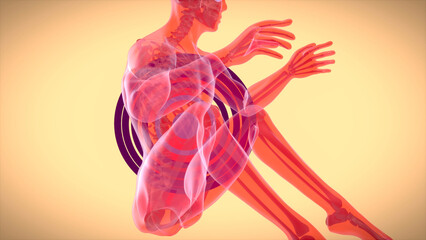 3D anatomy of a man doing situps