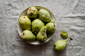 Four pears, in a plate on delicate gray background.
