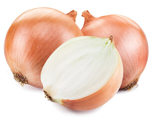 Brown skin onion bulb and cross section of onion isolated on white background.