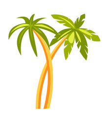 Tropical palm with leaves and stems, exotic tree