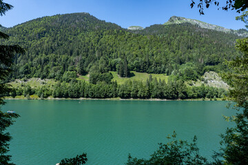 Lac Montriond seen from above. Aerial of French Alps mountain range melt water lake in summer.