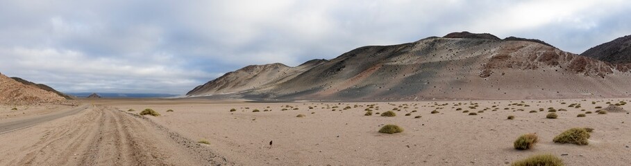 En route to El Peñon - wild nature in the Puna highlands in Argentina, South America