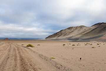 En route to El Peñon - wild nature in the Puna highlands in Argentina, South America