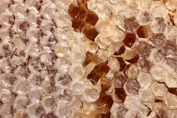 Sticky liquid honey natural geomatic hexagon honeycomb macro cluse up
