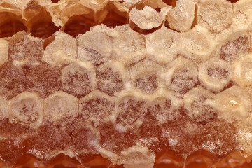 Sticky liquid honey natural geomatic hexagon honeycomb macro cluse up