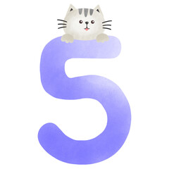 Number & Cat