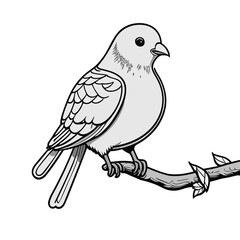 Fototapeta premium 枝にとまる鳥（ ハト）のモノクロ線画