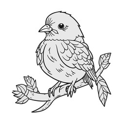 Obraz premium 枝にとまる鳥（ハト）のモノクロ線画
