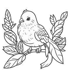 枝にとまる鳥（ハト）のモノクロ線画