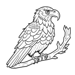 Fototapeta premium 枝にとまる鳥（ワシ）のモノクロ線画