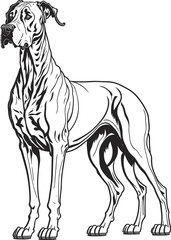 Vector dog outline,  Great Dane