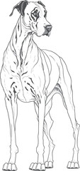 Vector dog outline, Great Dane