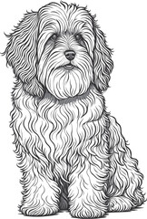 Vector dog outline, Havanese