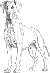 Vector dog outline,  Great Dane