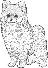 Vector dog outline,  Pomeranian