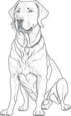 Vector dog outline,  Labrador Retriever