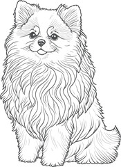 Vector dog outline,  Pomeranian