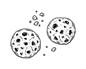 Choco chips cookie. Hand drawn vector illustration in sketch style
