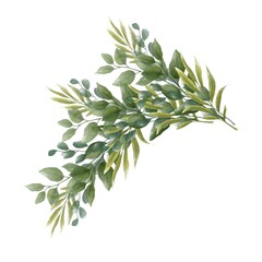 Watercolor floral illustration, greenery branches for wedding decor and invitation. Hand drawn illustration