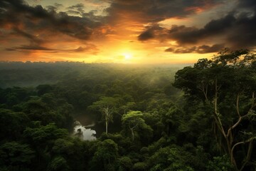 Fototapeta na wymiar Amazon rainforest during evening. Created with Generative Ai technology.