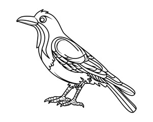Crow. Bird. Outline drawing, coloring book for children. Vector. close-up.