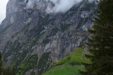 Picturesque view of mountains with forest covered by mist