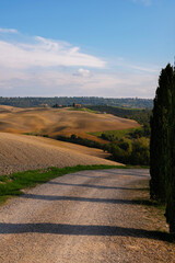 Fototapeta premium Beautiful authentic Italian tuscan landscape. Road among the fields and cypress trees in autumn. Tuscany, Italy.